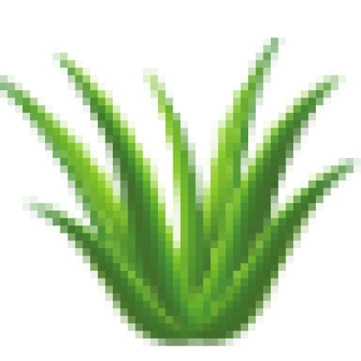 Aloe Vera Gel - Forever