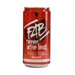 FAB Forever Active Boost Pack x12