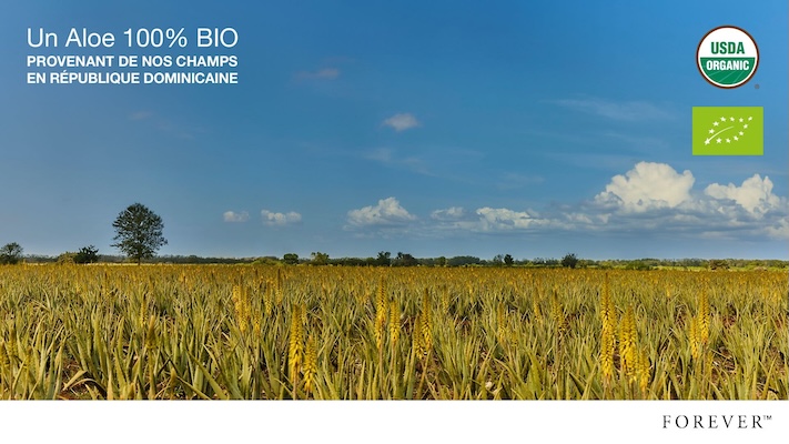 USDA EU Certification BIO