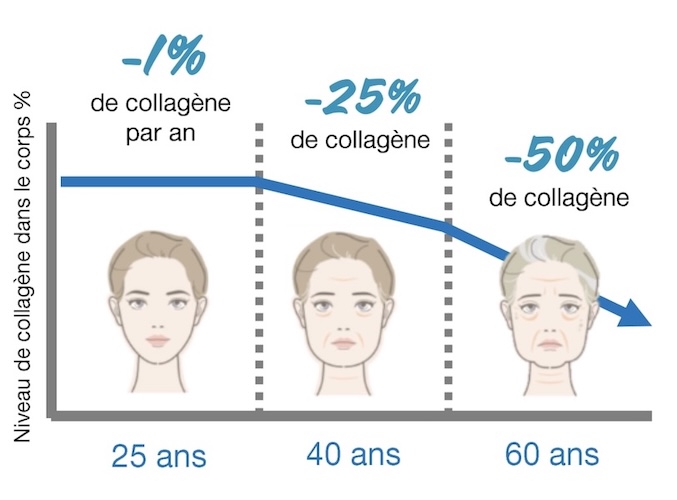 Niveau Collagene Corps